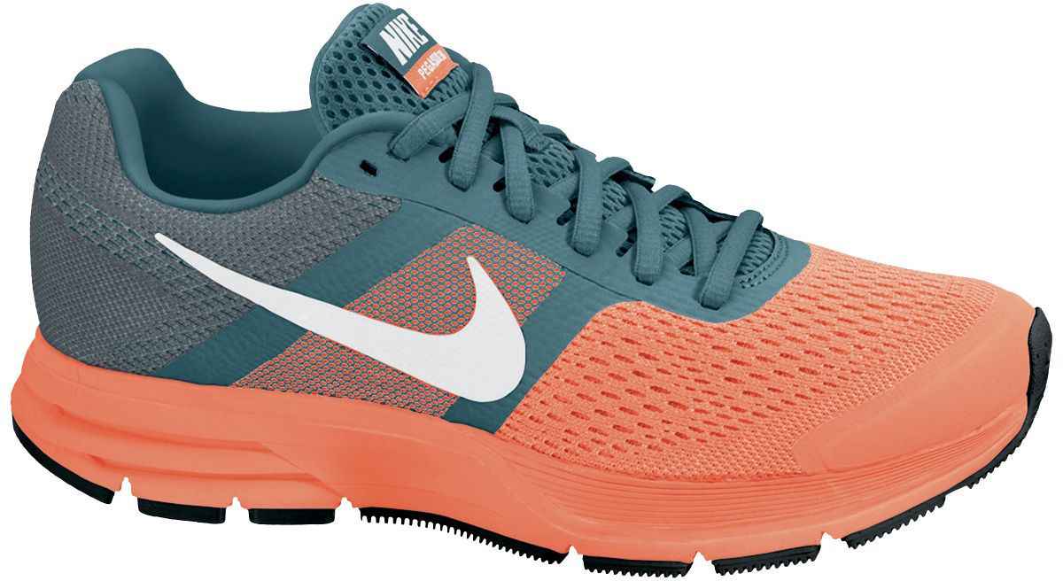 mañana Rafflesia Arnoldi hélice Nike Air Pegasus+ 30 - Palabra de Runner