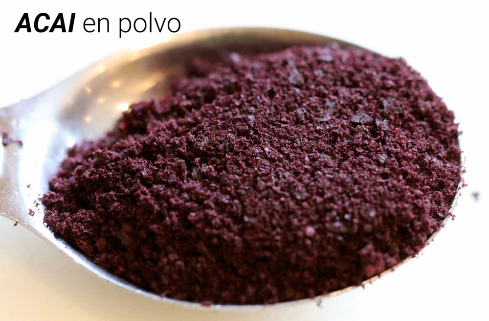 acai-berry-en-polvo