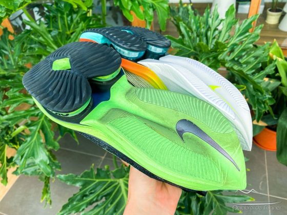 Nike Alphafly opinion vaporfly review 19