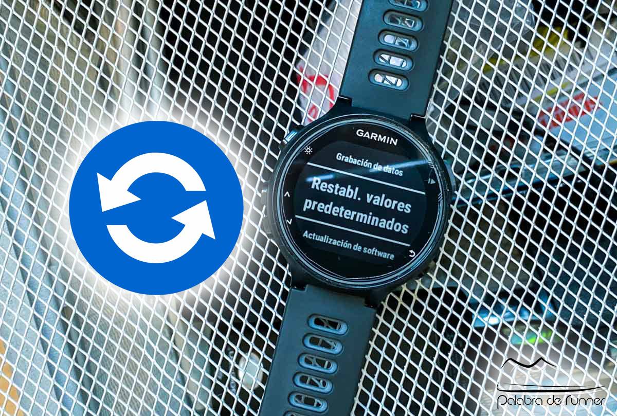 Garmin Forerunner 255 GPS Reloj Running - azul oscuro