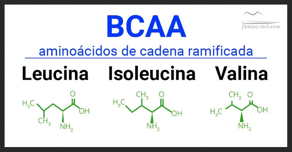 BCAA aminoacidos de cadena ramificada