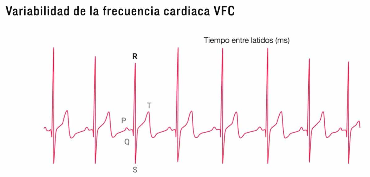 variabilidad de la frecuencia cardiaca hrv