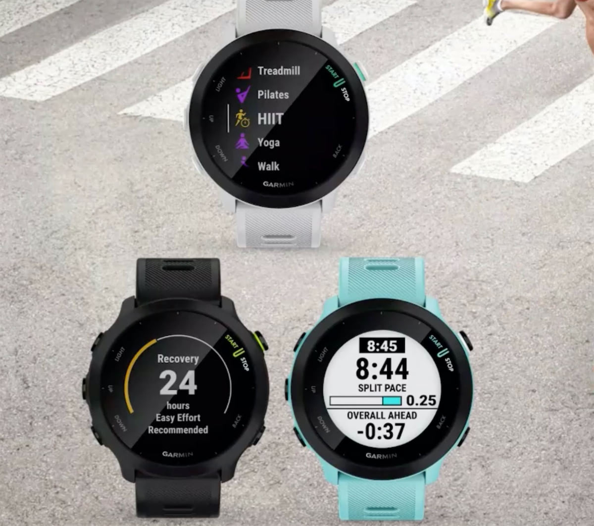 Garmin Forerunner 55 Gris - Reloj inteligente