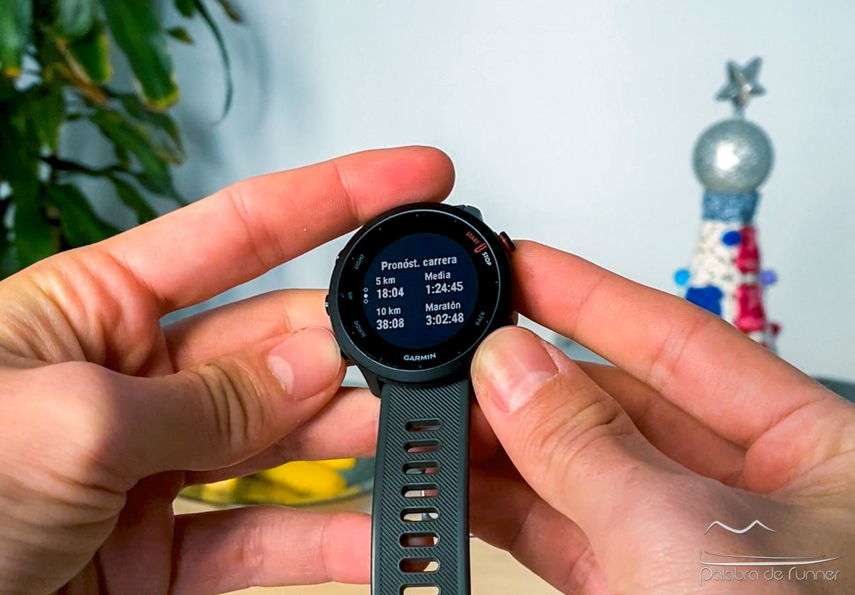 Reloj Smartwatch Forerunner 55 Running Garmin Pulsometro Gps