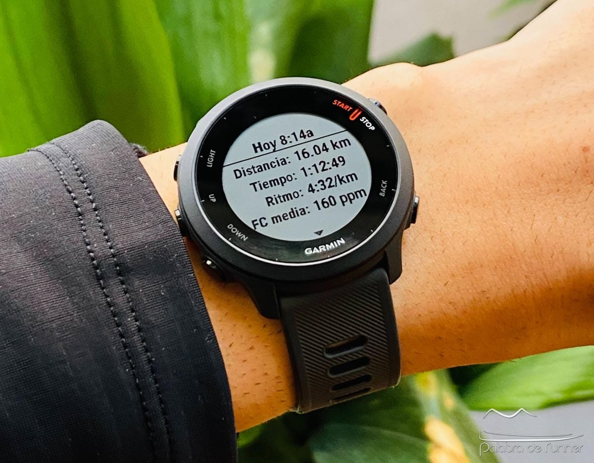 Garmin Forerunner 55 analisis opinion review-2