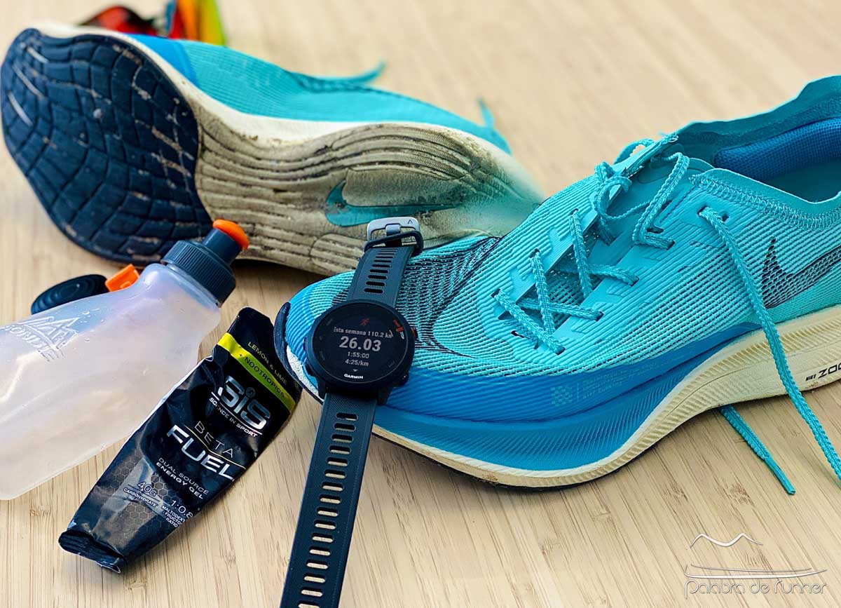 Garmin Forerunner 55, Análisis de las características, Ofertas y Opiniones