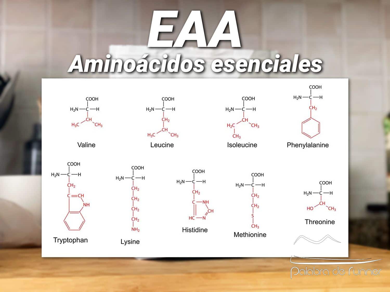 todos los aminoacidos esenciales o eaa