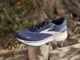 Brooks Ghost 15 opinion