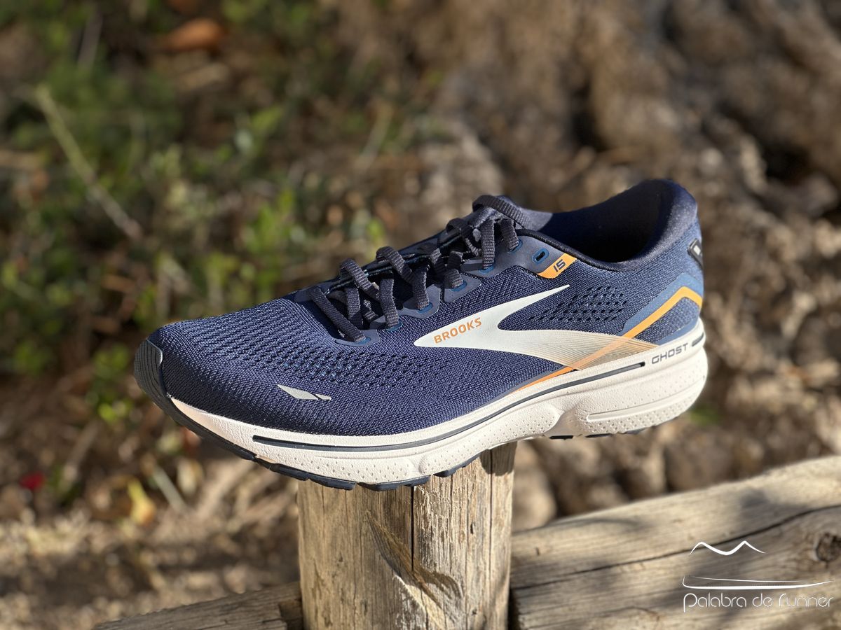 Brooks Ghost 15 opinion