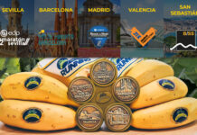 circuito-running-platano-carreras_op