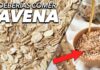 comer avena propiedades beneficios guia